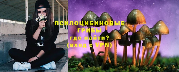 прущая мука Арсеньев